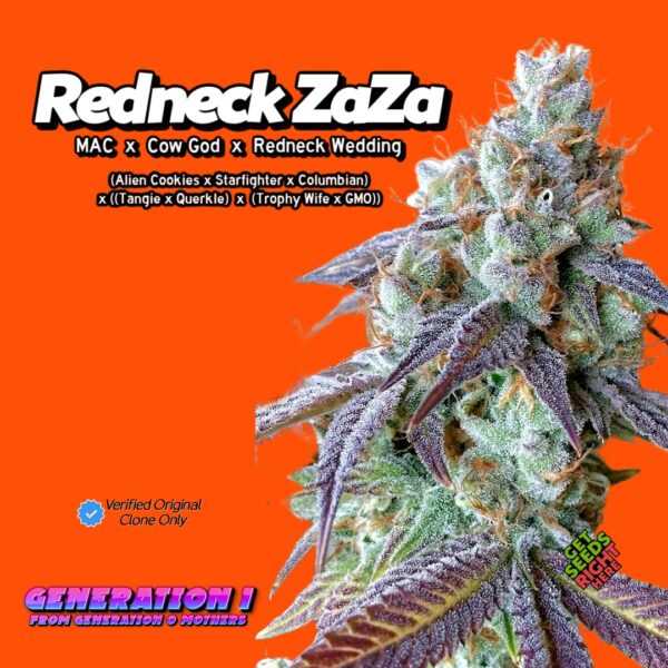 Redneck ZaZa (clone)