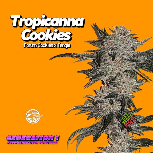 Trop Cookies (clone)