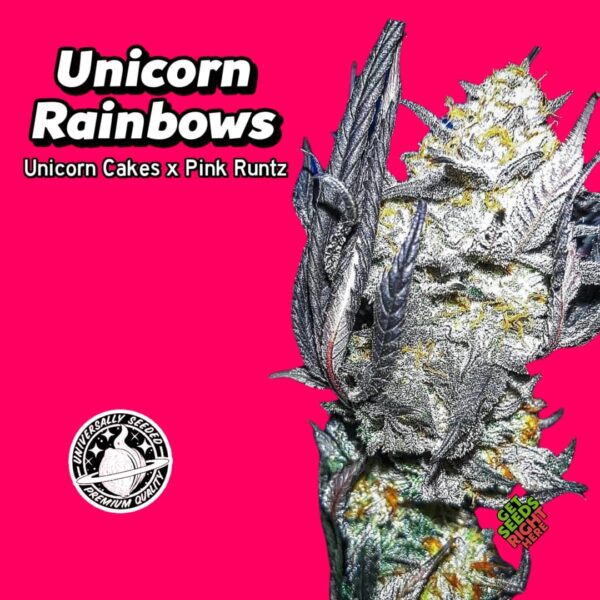 Unicorn Rainbows Cannabis Clones