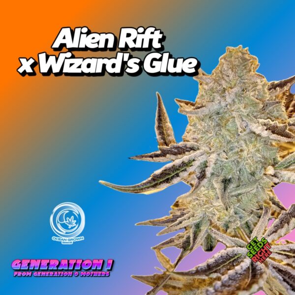 Alien Rift x Wizard's Glue (clone)