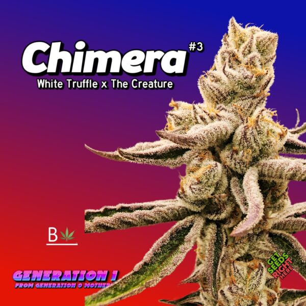 Chimera #3 (clone)