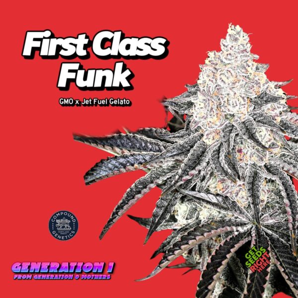 First Class Funk Cannabis Clones