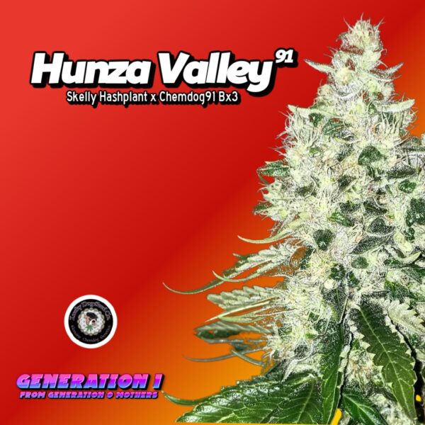 Hunza Valley 91 (clone)