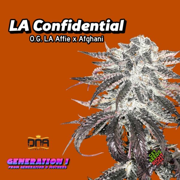 LA Confidential (clone)
