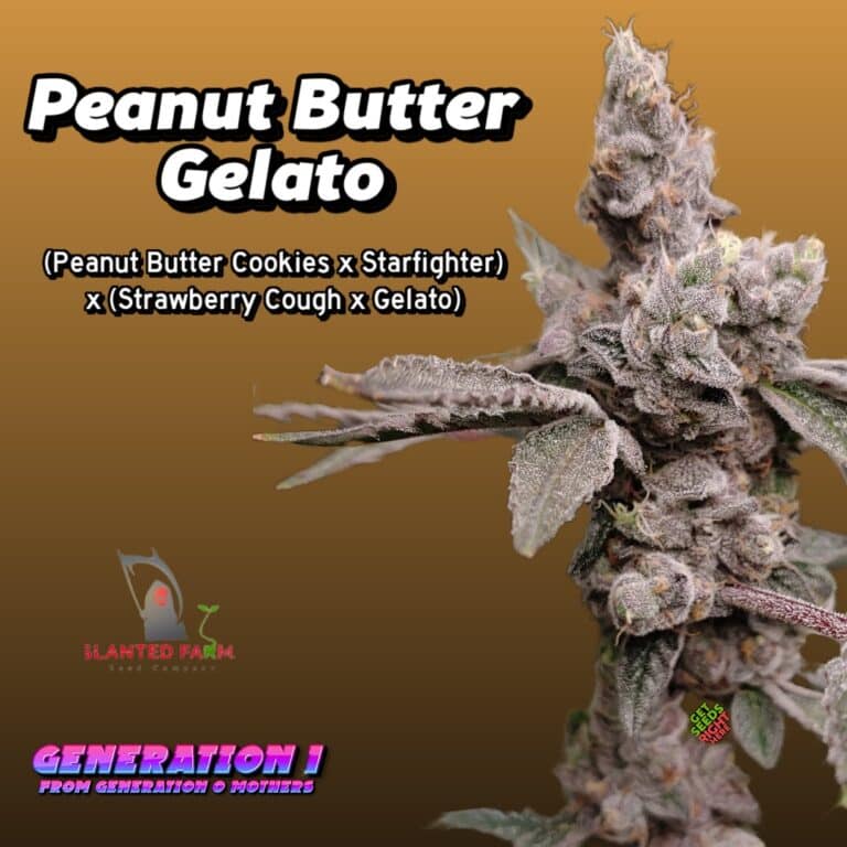 Peanut Butter Gelato Clone