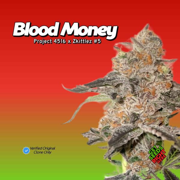 Blood Money (clone)