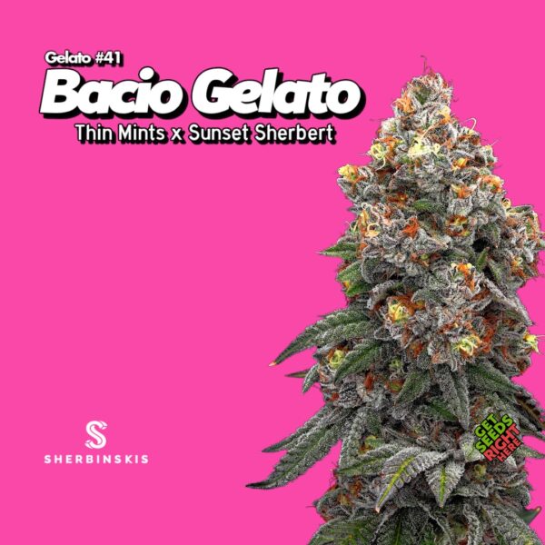 Gelato #41 Bacio Gelato (clone)