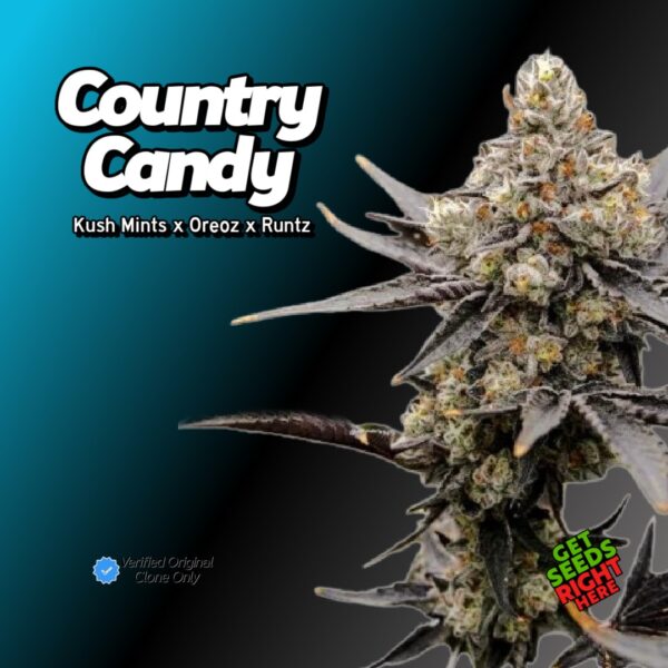 Country Candy (Clone)