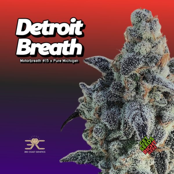 Detroit Breath (Clone)