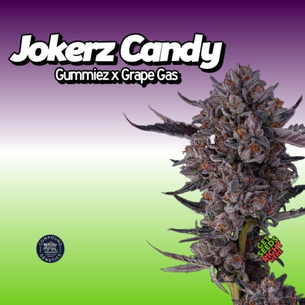 Jokerz Candy (clone)