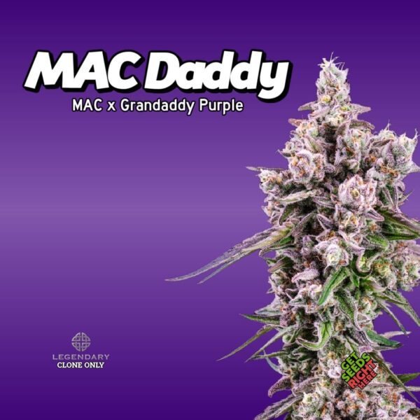 MAC Daddy (clone)