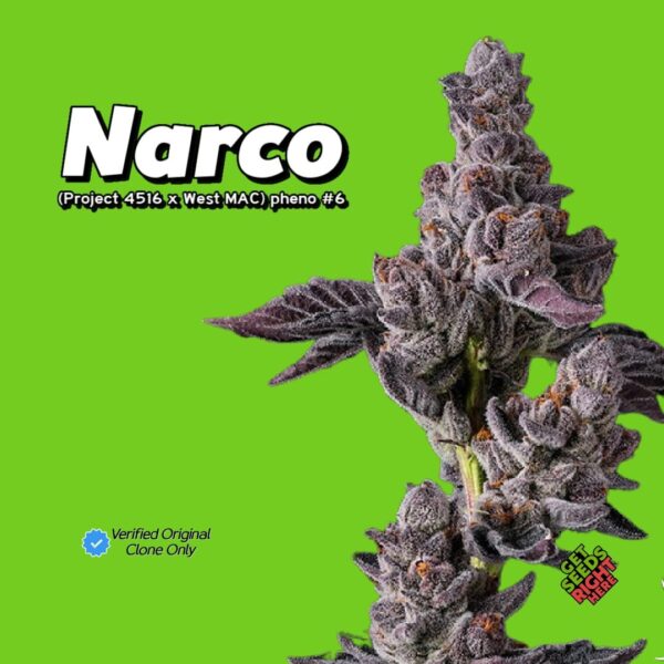 Narco (clone)