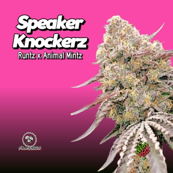 Speaker Knockerz Clone
