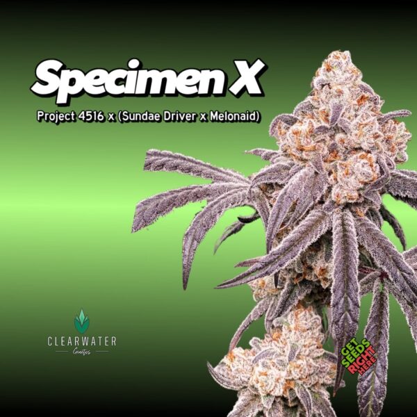 Specimen X Clone