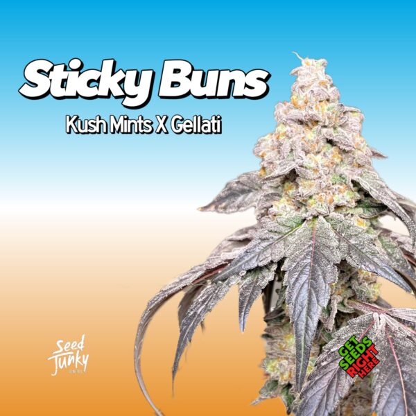 Sticky Buns (clone)