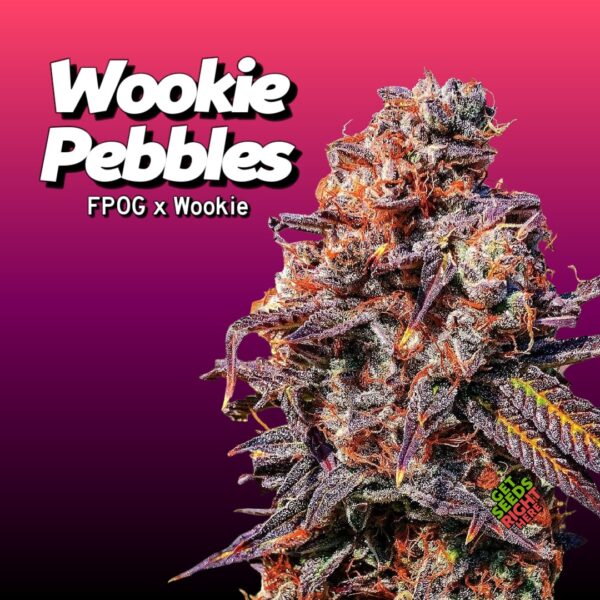 Wookie Pebbles (clone)