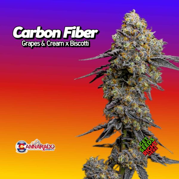 Carbon Fiber (clone)