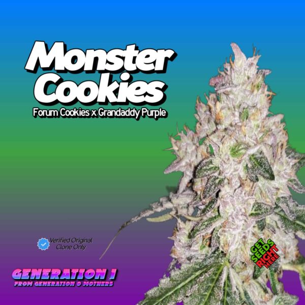 Monster Cookies (clone)