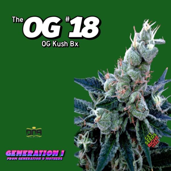 OG #18 (clone)