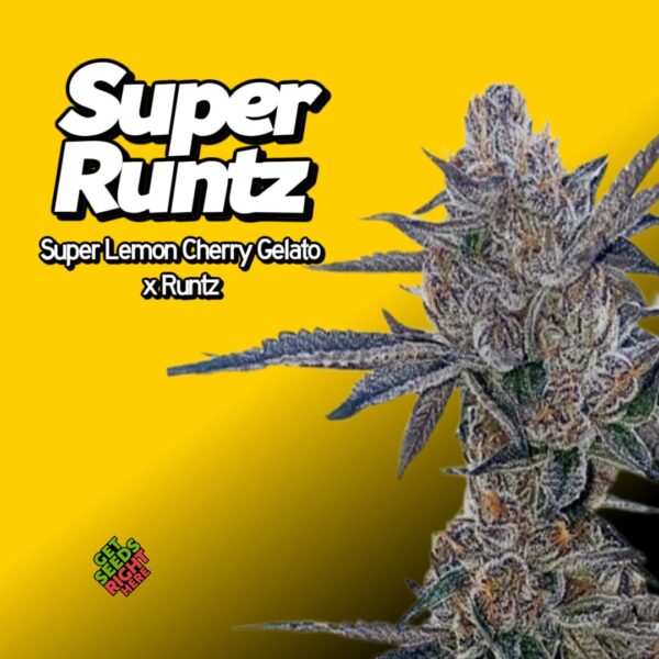 Super Runtz (clone)