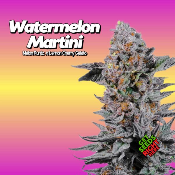 Watermelon Martini Cannabis Clones for sale