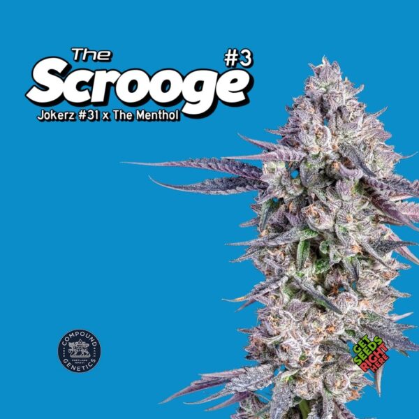 The Scrooge #3 (clone)