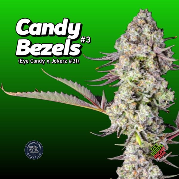 Compound Genetics Candy Bezels #3