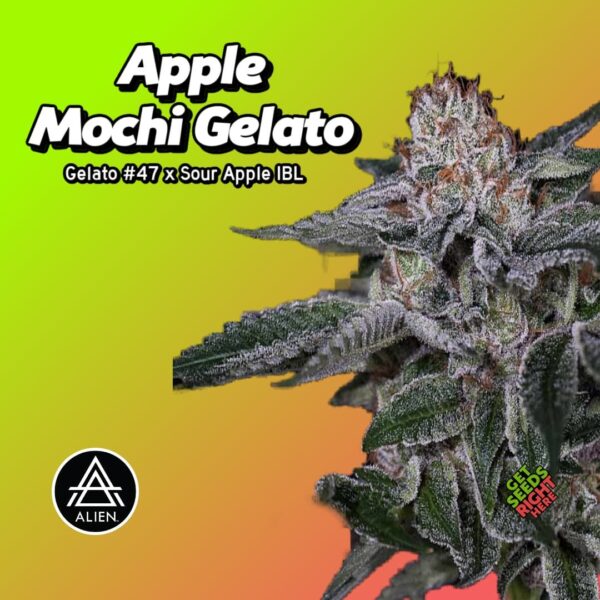 Apple Mochi Gelato strain by Alien Genetics promotional banner featuring crystalline cannabis bud against a lime-to-orange gradient background with white text and company logo