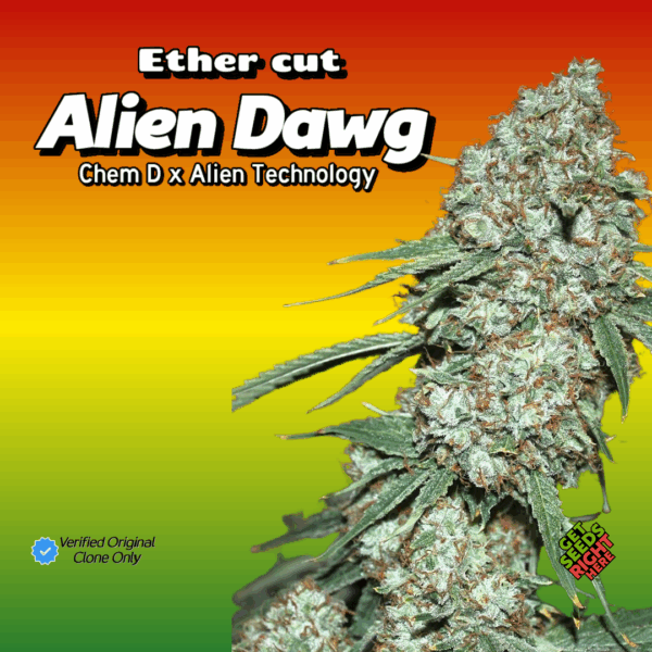 Ether cut of Alien Dawg (Clone)