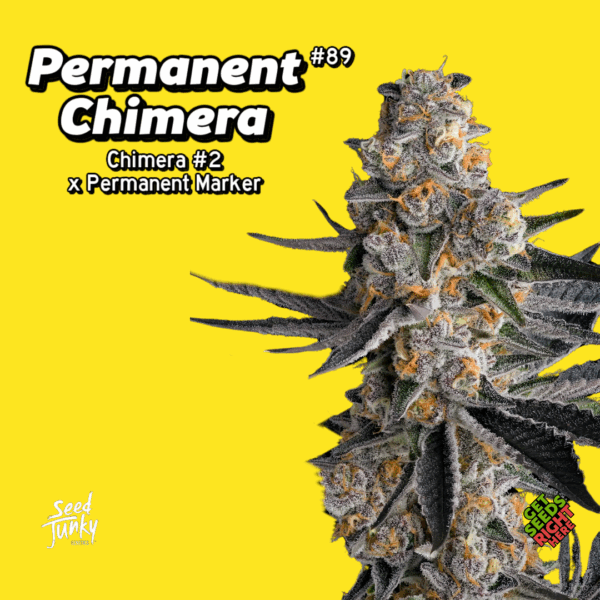 Permanent Chimera #89 (Clone)