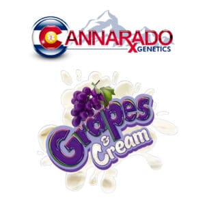 Cannarado Genetics logo with "Grapes & Cream" text and grape illustration on a milk splash background.