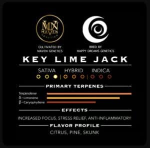 Infographic detailing Key Lime Jack cannabis strain by Maven Genetics, featuring terpene profile, effects, and flavor notes. Key Lime Jack Cannabis Strain | Maven Genetics Clones.