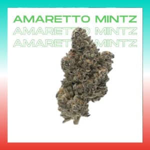 Amaretto Mintz cannabis plant by Seed Cartel with frosty buds and intricate leaf structure.