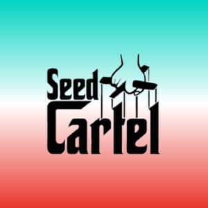 Seed Cartel logo, representing the brand behind Amaretto Mintz cannabis clones.