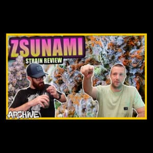 Zsunami strain review on Archive TV with expert Flecch and friends discussing bud qualities.