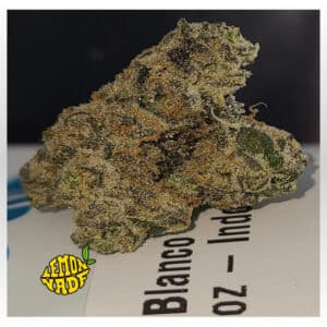 Blanco cannabis nug close-up by Lemonade with rich trichome coverage.