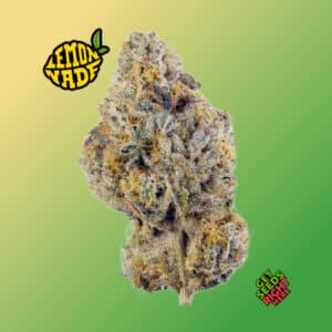 Single Cake Mix cannabis bud by Lemonade with orange pistils on green and purple leaves.