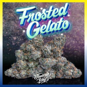 Frosted Gelato branding by The Jungle Boys with frosty buds and vibrant lettering.