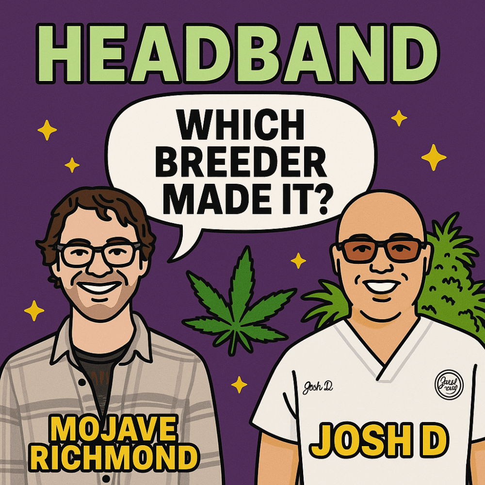 Cartoon of Mojave Richmond and Josh D asking "Which breeder made Headband?" with cannabis icons and a fun, colorful style.