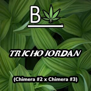 Tricho Jordan #5; cannabis strain with Beleaf's the breeder's logo, displayed over a background of lush green leaves with the lineage listed as Chimera #2 x Chimera #3.