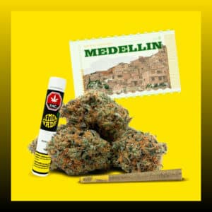 Medellin strain buds by Lemonade with a pre-roll and Medellin label on a yellow background.