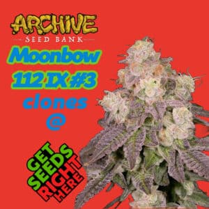 Moonbow 112 IX #3 cannabis bud from Archive Seed Bank with promotional text overlay.