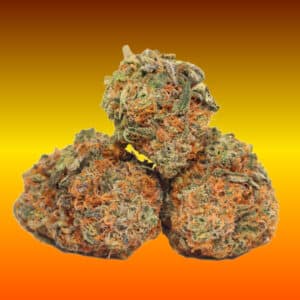 Trimmed buds of the Reece's Pieces cannabis strain with bright orange pistils.