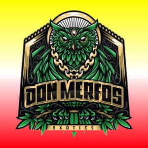 Don Merfos Exotics logo featuring an owl with chains, set against a gradient background.