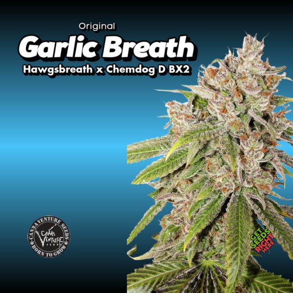 Garlic Breath (clone)