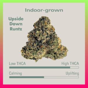 Indoor-grown Upside Down Runtz Cannabis Clone bud with THCA levels displayed.