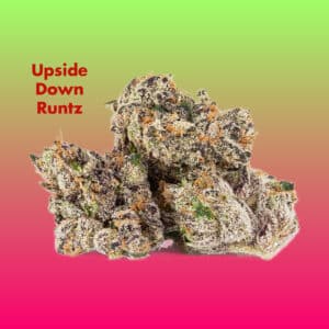 Buds of Upside Down Runtz Cannabis Clones in a stacked formation.