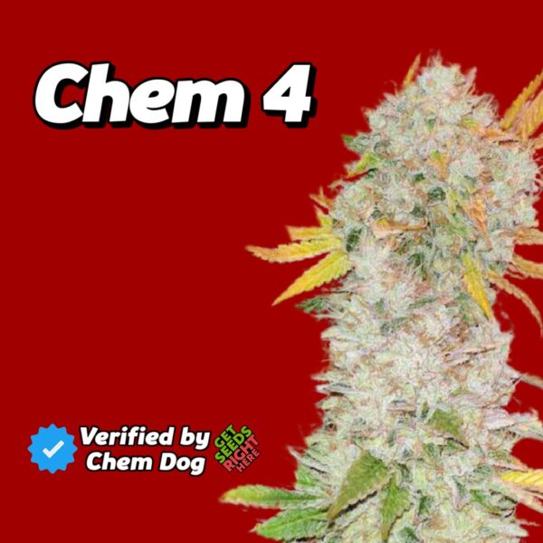 Chem 4 Cannabis Clones 🔥 Verified by Chem Dog