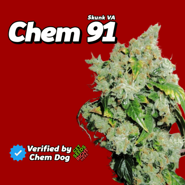 Chem 91 Cannabis Clones 🔥 Verified by Chem Dog