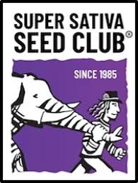 Super Sativa Seed Club logo stylized black-and-white illustration of a man holding an elephant's trunk against purple with the text 'Since 1985'